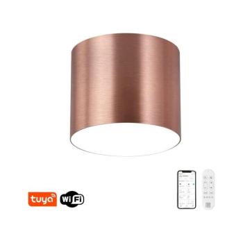 NEO 07320L - RONDATE LED dimmelhető mennyezeti lámpa 32W/230V 16,5 cm Wi‑Fi Tuya rózsaszín 07320L kép