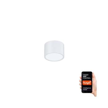 NEO 07024L-15 - LED dimmelhető mennyezeti lámpa RONDATE LED/12W/230V Tuya 07024L-15 kép