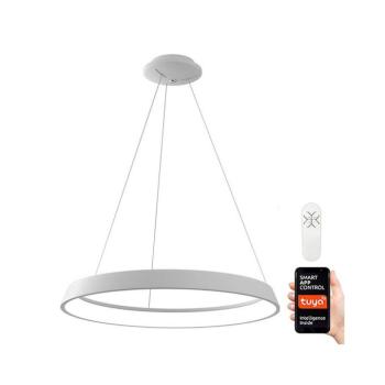 NEO 07079L - LED dimmelhető lámpa 60 cm, 39W, 230V, távirányítóval 07079L kép