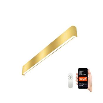NEO 07137-G - LED SMART Dimmelhető lámpa LINEA LED/40W/230V + távirányító 76 cm 07137-G kép