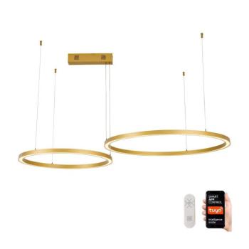 NEO 07218L - LED dimmelhető FINO csillár 93W/230V 60/80cm arany Tuya+DO 07218L kép