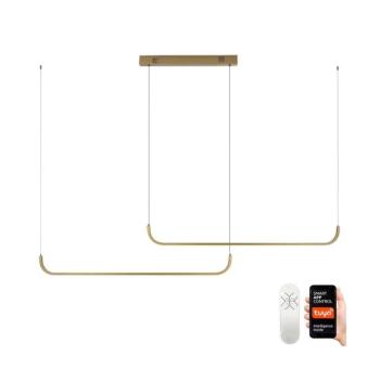 NEO 07228L - LED Dimmelhető csillár zsinóron PATTINI LED/53W/230V Tuya + távirányító 07228L kép