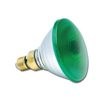 PAR38 240V 80W E27 FL30° Green