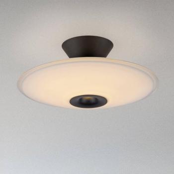 Paul Neuhaus LED mennyezeti lámpa Elipsa, fehér/fekete, Ø 35 cm kép