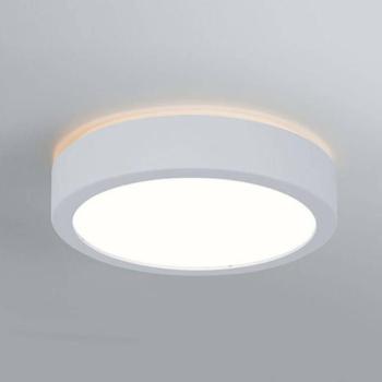 Paulmann Aviar LED lámpa Ø22cm feh. 4000K kép