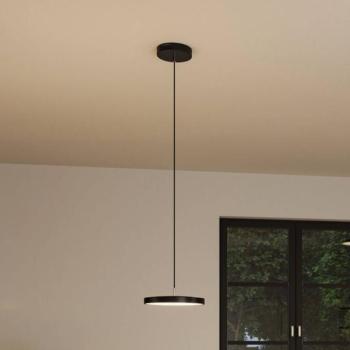 Paulmann Hildor LED függő világítás, Zigbee, fekete kép