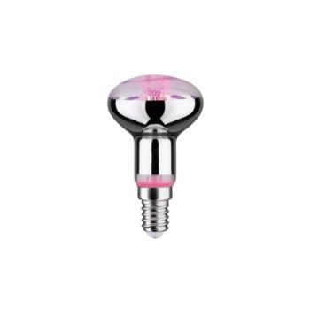 LED Növénynevelő izzó GROW ZÖLD R50 E14/4W/230V - Paulmann 28734 28734 kép