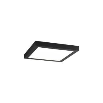 Paulmann 70985 - LED/22W Mennyezeti lámpa ABIA 230V 70985 kép