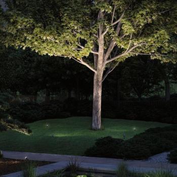 Paulmann Plug & Shine LED földi tüskés reflektor Radon kép