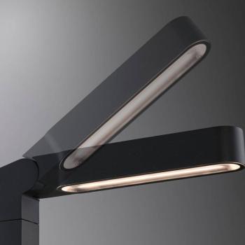 Paulmann Plug & Shine LED Ito kivetítő, függőleges, IP65 kép