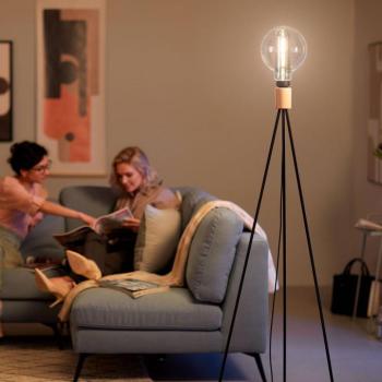 Philips Giant Globe füstös LED lámpa E27 6.5W kép