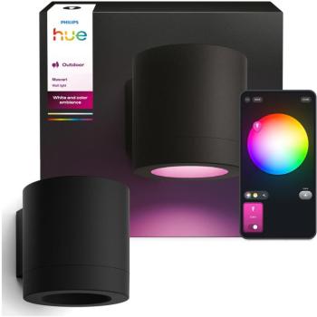 Philips Hue Muscari WCA wall light EU kép