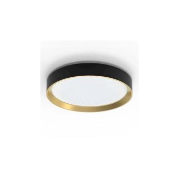 Philips - LED Dimmelhető mennyezeti lámpa HANNO LED/24W/230V 4000K fekete 8720169301351 kép