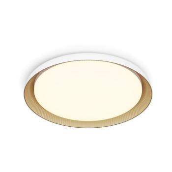 Philips - LED Dimmelhető mennyezeti lámpa PEBBLO LED/10W/230V 2700K fehér 8720169301054 kép
