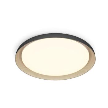 Philips - LED Dimmelhető mennyezeti lámpa PEBBLO LED/10W/230V 2700K fekete 8720169301092 kép