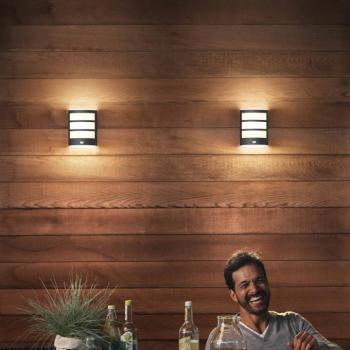 Philips LED kültéri fali lámpa Python UE, antracit, érzékelővel kép
