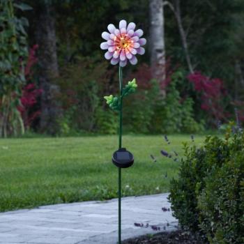 Pink Daisy LED napelemes lámpa virág alakú kép