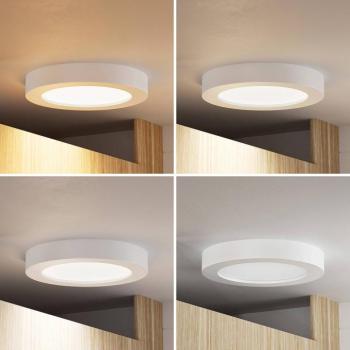 PRIOS LED mennyezeti világítás Edwina, fehér, 23 cm, CCT, IP44 kép