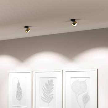 Puk! 80 Move LED spot lencse sárgaréz/fekete kép