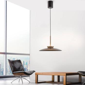 LED lógó lámpa PURE E-Moon bronz, matt üveg (sötét), Ø50cm kép