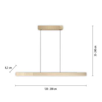 PURE Moto-Rise LED lógó lámpa, imperial gold, alumínium, CCT kép