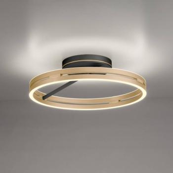 PURE LED mennyezeti lámpa Loop sárgaréz/fekete fém Ø 60 cm CCT kép