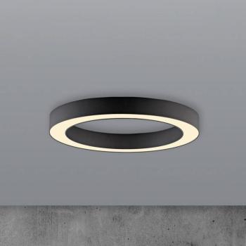 PURE Lines LED mennyezeti lámpa, 35 cm átmérőjű, grafit színű, CCT, kép