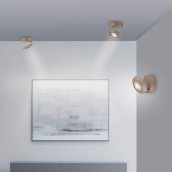 PURE Oculis LED mennyezeti lámpa, bronz színű, átmérő 15 cm, vas/üveg kép
