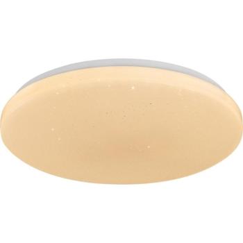 Rabalux 71444 - LED dimmelhető mennyezeti lámpa DANNY 2 LED/12W/230V 3000-6500K átm. 26 cm + távirányító 71444 kép