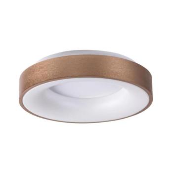Rabalux 5053 - LED Mennyezeti lámpa CARMELA LED/50W/230V 5053 kép