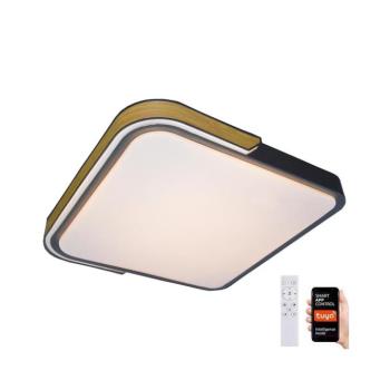 Rabalux 71146 - LED Dimmelhető mennyezeti lámpa ARILD LED/48W/230V Wi-Fi Tuya 71146 kép