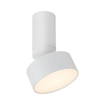 Rabalux 71326 - LED mennyezeti lámpatest OVIDIA LED/10W/230V 3000K fehér 71326 kép