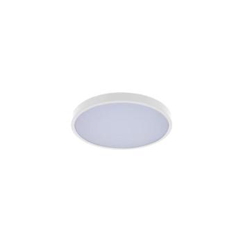 Rabalux 71425 - LED Fürdőszobai mennyezeti lámpa ALENZO LED/12W/230V IP44 fehér 71425 kép