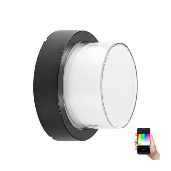 Rábalux , 7246 , Durbe , Kültéri fali lámpa/ Kültéri mennyezeti , fekete , IP54 , 3000-6500K , 10W kép