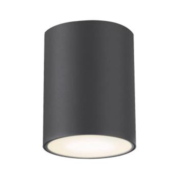 Rabalux 7819 - Kültéri spotlámpa ZOMBOR 1xGU10/35W/230V kerek IP54 7819 kép