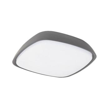 Rábalux , 8797 , Austin , Kültéri mennyezeti lámpa , antracit , IP65 , 4000K , 20W kép