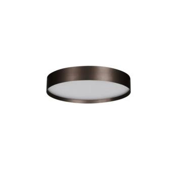 Rant LED általános mennyezeti lámpa kép
