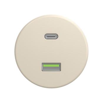 Reblig - Retro keret nélküli USB aljzat A+C, bézs B/USB kép