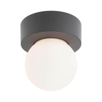 Redo 90641 - Kültéri mennyezeti lámpa BULK 1xE27/28W/230V IP44 antracit 90641 kép