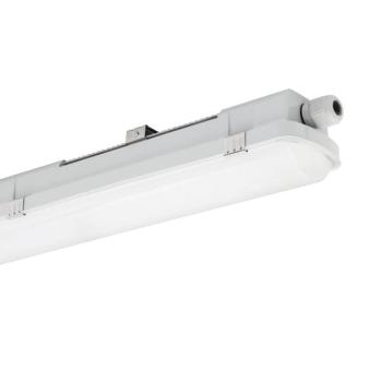 RESISTO LED fénycsöves világítás, világosszürke, 150 cm, 56 W, 840 IP66 kép