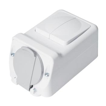 SOCKET+TWO BUTTON ONE WAY SWITCH 16А 250V, IP44 kép