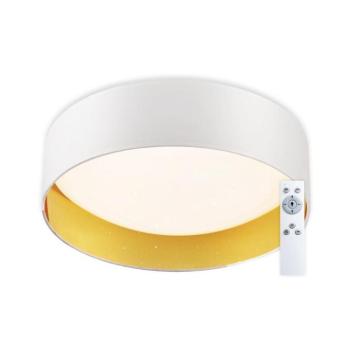 Top Light - LED Dimmelhető mennyezeti lámpa LED/24W/230V + távirányító fehér Ivona 40B RC kép