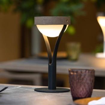 Tyble LED napelemes asztali lámpa, fekete / teakfa, 2700 K, 200 lm kép
