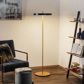 UMAGE Asteria Floor LED álló lámpa, antracit kép