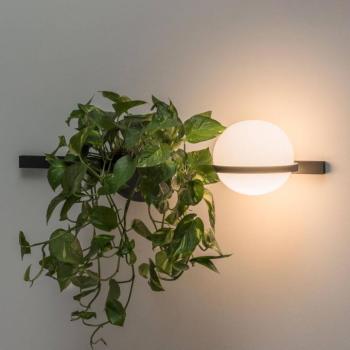 Vibia Palma 3702 fali világítás, virágtartó, grafit kép