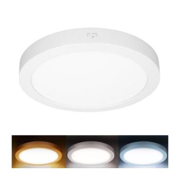 WD244-W - 2 az 1-ben LED-panel 24W/230V 3000/4000/6000K, átmérő 30 cm, IP54, fehér WD244-W kép