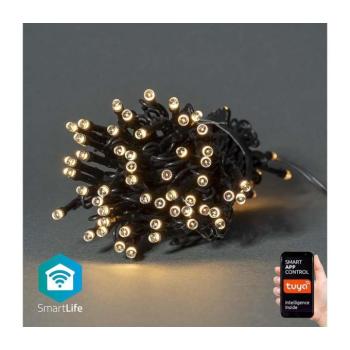 WIFILX01W50 - LED Karácsonyi lánc 50xLED/8 funkció 10m IP65 Wi-Fi Tuya meleg WIFILX01W50 kép
