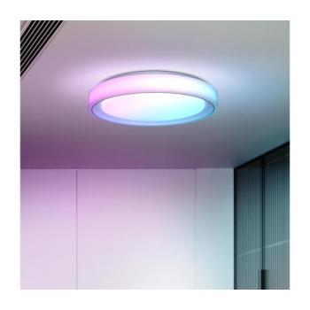 WO8015 - LED RGB Dimmelhető mennyezeti lámpa FLOCO LED/30W/230V+RGB/6W+RC d.40cm WO8015 kép