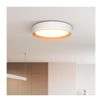WO8017 - LARIOS LED 48W mennyezeti dimmer, 39 cm, fehér, DO WO8017 kép