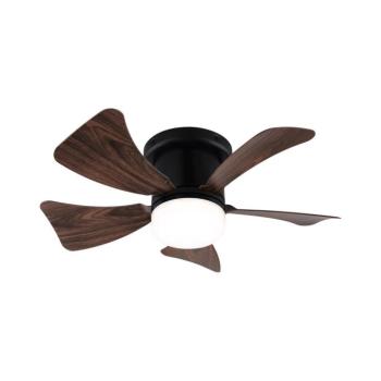ZE - LED Dimmelhető mennyezeti látor MUNDAKA LED/10W/230V barna + távirányító 03609BROWN- ZEV kép
